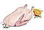 Kaczka "Barbarie"  tacka 1,9 -2,0 kg