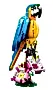 LEGO Creator 3 w 1 Egzotyczna papuga 31136