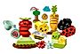 LEGO Duplo  Ogród uprawowy 10984