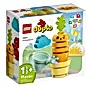 LEGO Duplo Rosnąca marchewka 10981
