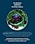 Marvel Komiks Wielkie pojedynki Marvela Spider-man kontra Mysterio