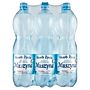 Muszyna Skarb Życia Naturalna woda mineralna wysokozmineralizowana lekko gazowana 6 x 1,5 l