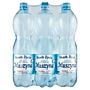 Muszyna Skarb Życia Naturalna woda mineralna wysokozmineralizowana lekko gazowana 6 x 1,5 l