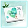 Pampers Harmonie Rozmiar 2, 39 pieluszki, 4kg-8kg