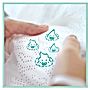 Pampers Premium Care, Rozmiar 0, 30 pieluszki, <3kg