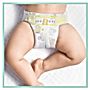 Pampers Premium Care, Rozmiar 5, 88 pieluszki, 11kg-16kg