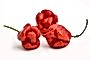 Papryka Habanero ważona