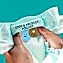 Pieluchomajtki Pampers Active Baby, rozmiar 6, pieluszki 44, 13kg-19kg
