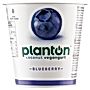 Planton Blueberry Vegangurt kokosowy 150 g