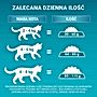 PURINA ONE Bifensis Adult Karma dla dorosłych kotów bogata w kurczaka 1,5 kg