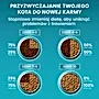 PURINA ONE Bifensis Adult Karma dla kotów bogata w kurczaka 800 g