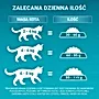 PURINA ONE Bifensis Adult Karma dla kotów bogata w kurczaka 800 g