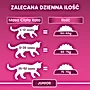 PURINA ONE Bifensis Junior Karma dla kociąt bogata w kurczaka 800 g