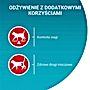 PURINA ONE Sterilcat Karma dla kotów z indykiem i zieloną fasolką 85 g