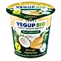 Vegup Bio Kokosowy vegangurt mango Alfonso 140 g
