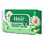 Velvet Camomile & Aloe Vera Nawilżany papier toaletowy 48 sztuk