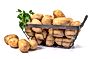 Ziemniaki do gotowania "Jakość z Natury Carrefour" 2 kg