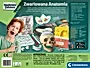 ZWARIOWANA ANATOMIA