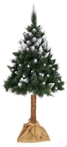 Anma Choinka Sosna diamentowa Lux na pniu 220 cm