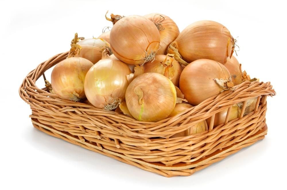 Cebula