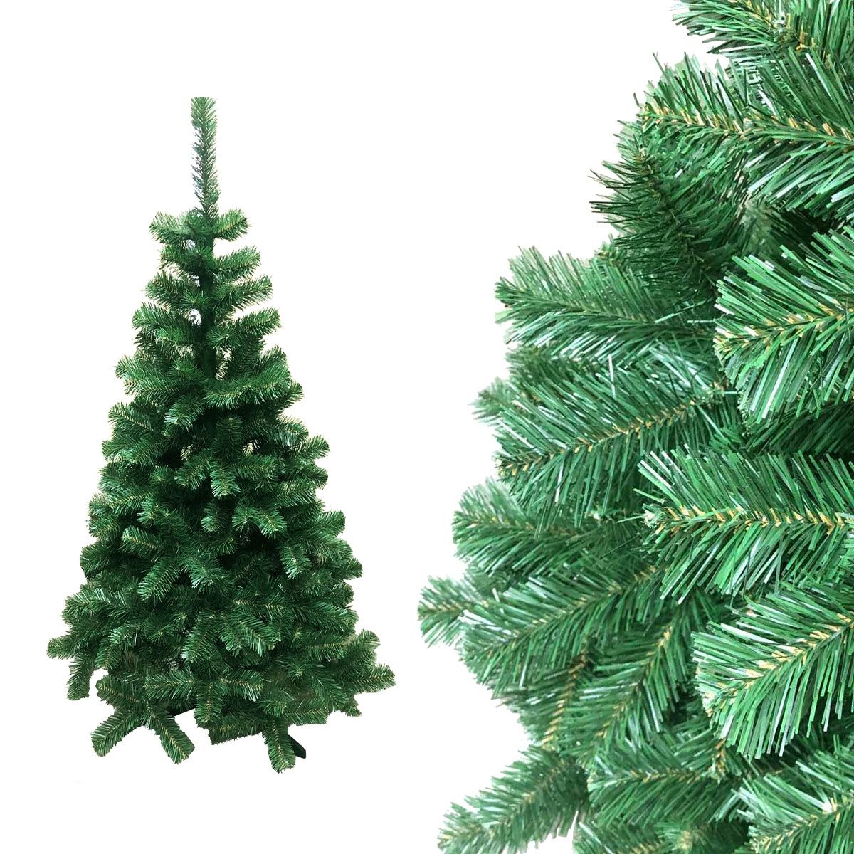 Choinka Jodła Mary Psomar 250 cm