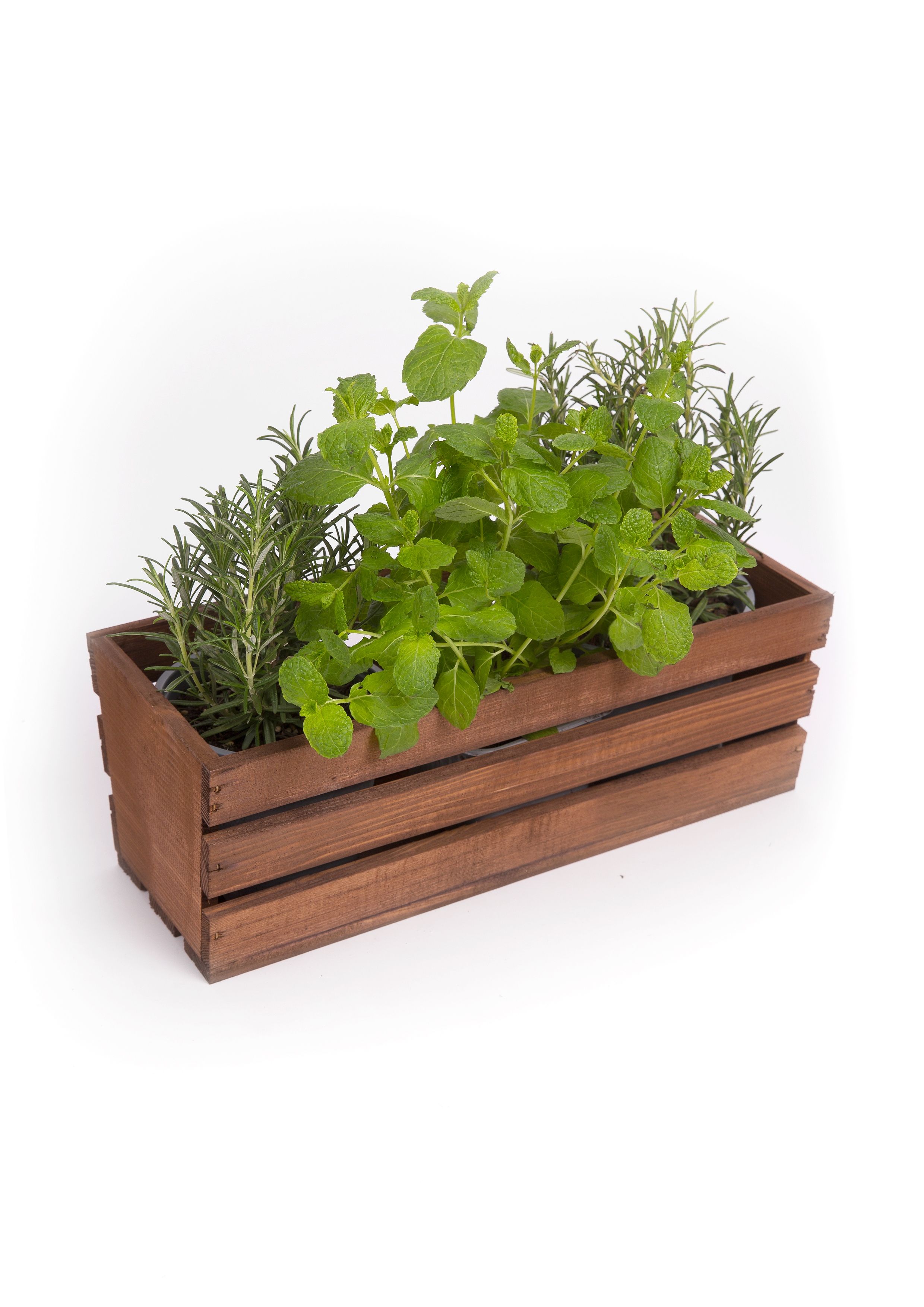 Eco Deco Skrzynka drewniana brązowa 50x15x18