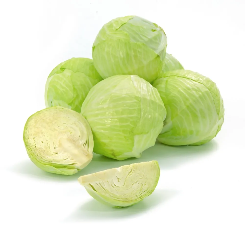 Kapusta