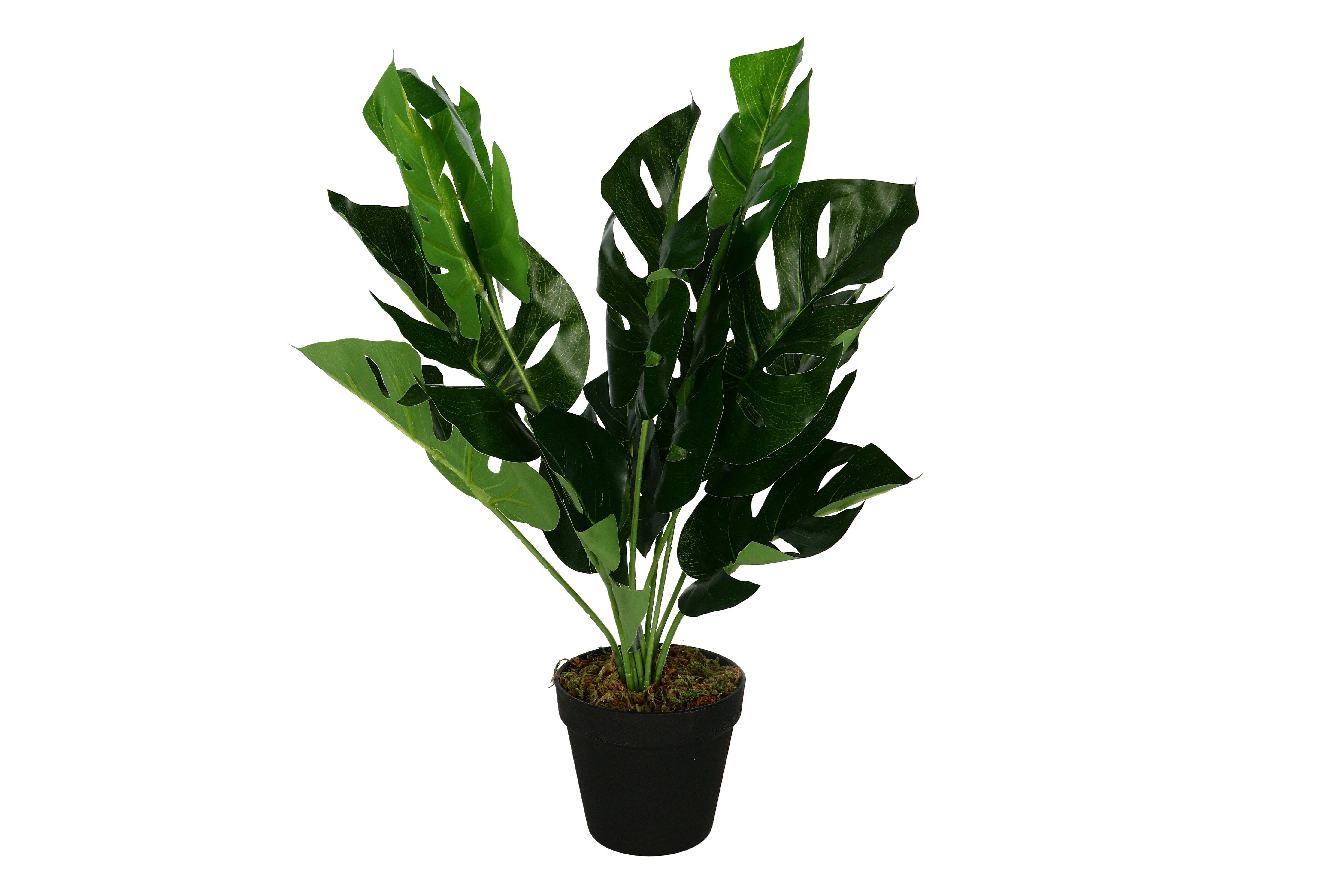 Kwiat Monstera Sztuczny EM&EM w Doniczce 45 cm