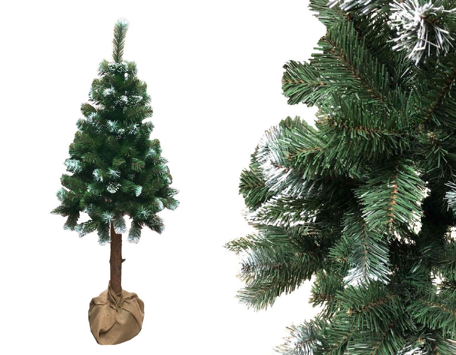 Psomar Choinka Sosna Diamentowa na pniu naturalnym 180 cm