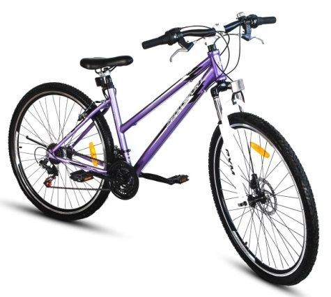 Rower górski ARKUS 29 MTB 21B CT18/08
