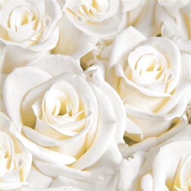Serwetki DUNI White Dreams 33 cm 1226977