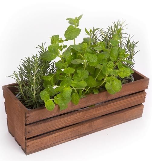 Eco Deco Skrzynka drewniana brązowa SD40.BR
