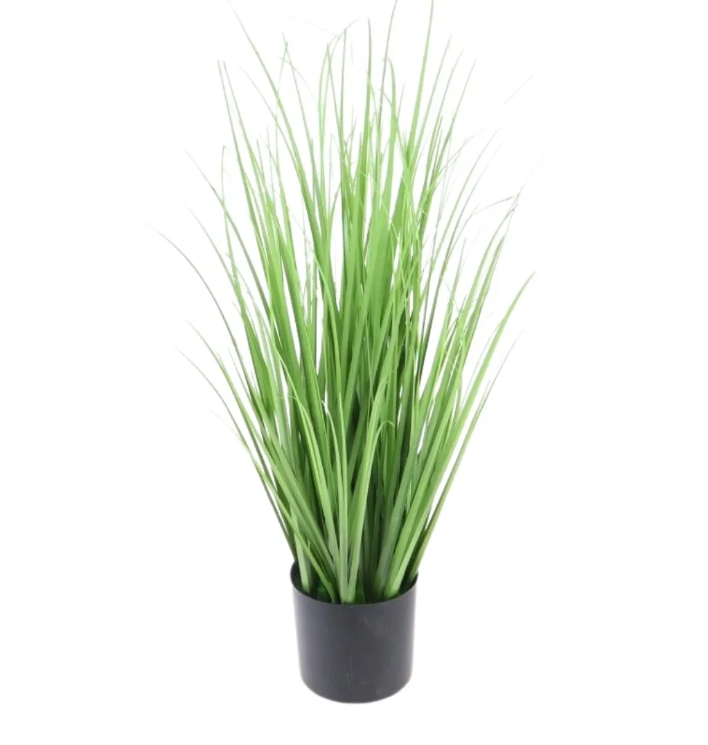 Trawa w doniczce soczysta zieleń 70 cm