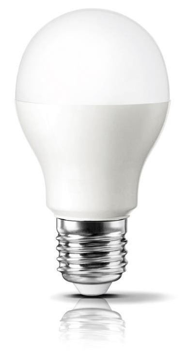 Żarówka Pila Led A67 E27 14W 100W Zimna