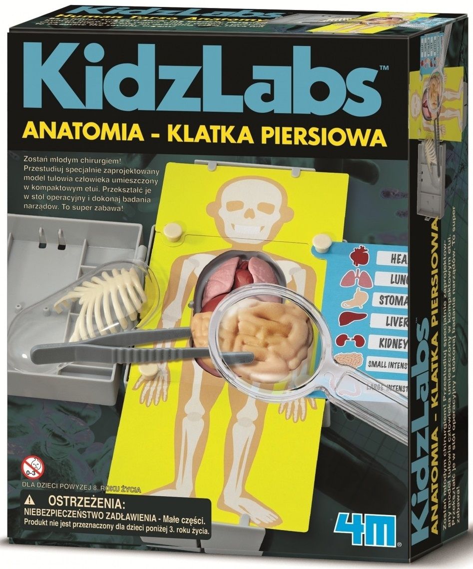 Zestaw doświadczalny 4M Anatomia klatka piersiowa 3373
